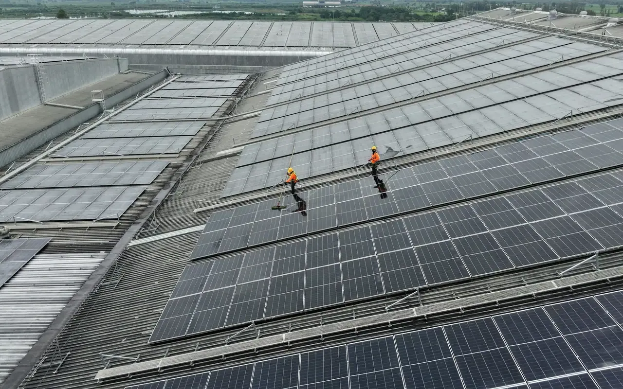 Two workers cleaning a large rooftop solar array with long-handled brushes
